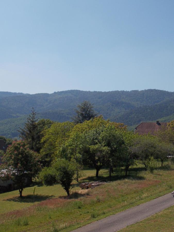 Vila Maison De Vacances "Le Longchamp" Osenbach Exteriér fotografie